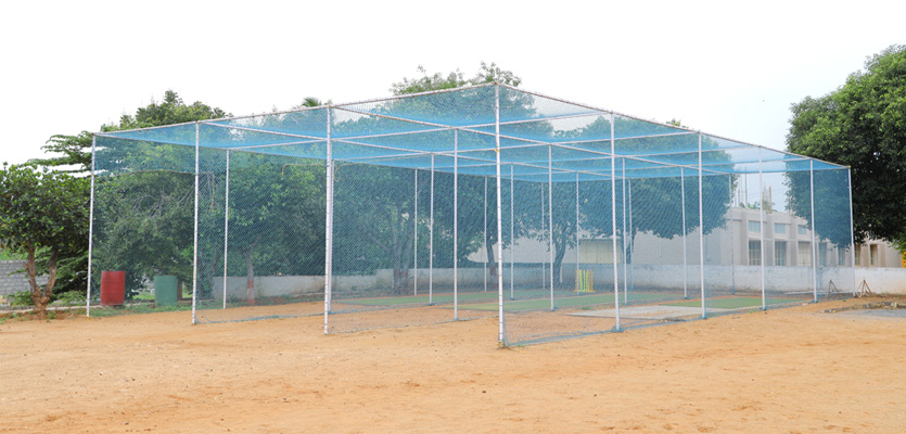 cricket coaching